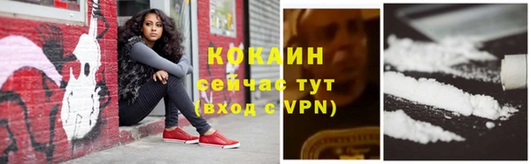 соль ск Белокуриха