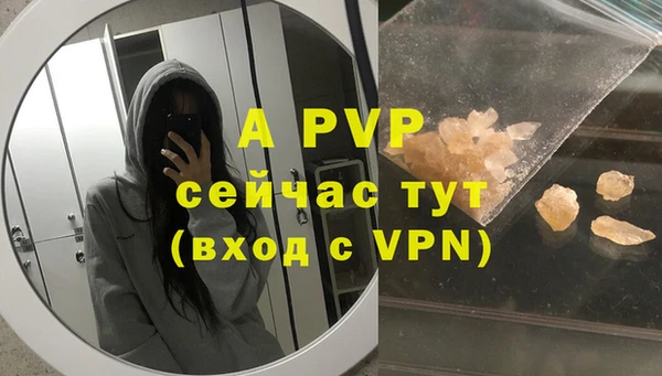 соль ск Белокуриха